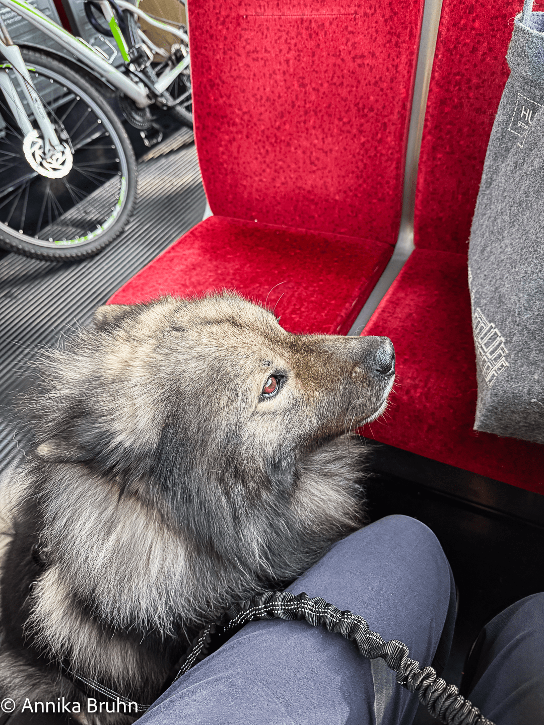 Eine Bahnfahrt die ist Lustig